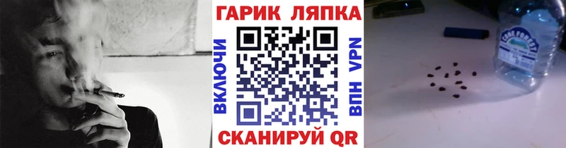 Гашиш индика сатива  цены наркотик  Ворсма 